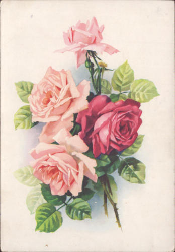 1959 (1)