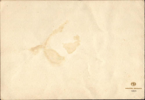 1964 (5)