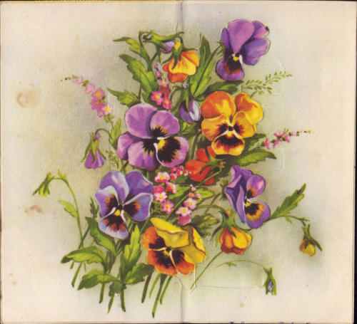 1965 (1)