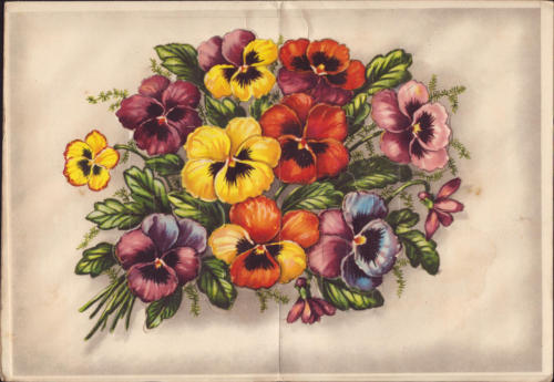 1966 (1)