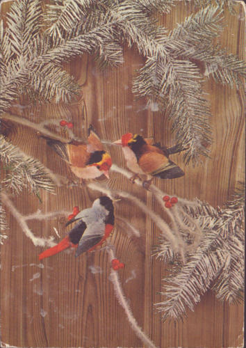 1973 (1)