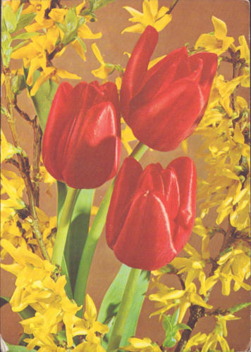 1975 (1)