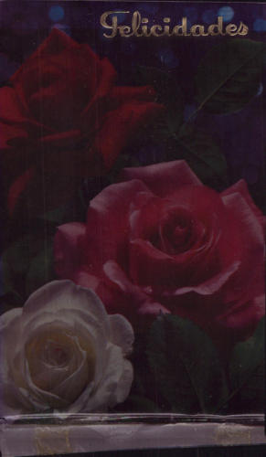 1975 (19)