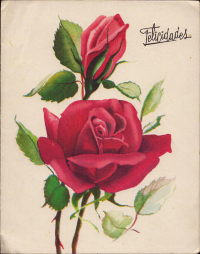 1975 (23)