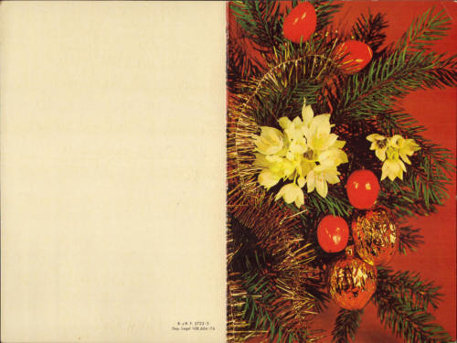 1976 (19)