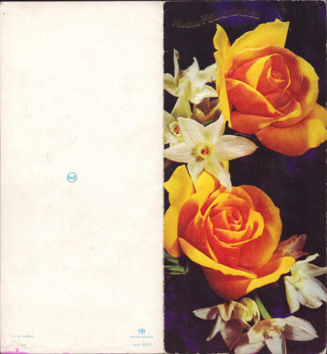 1977 (11)