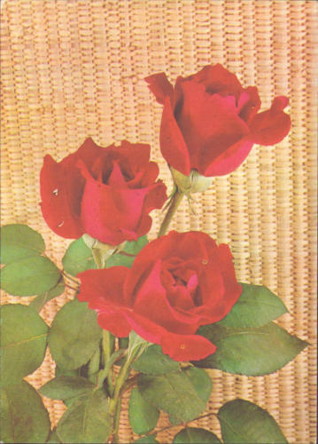 1978 (3)
