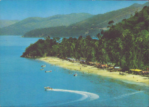 1979 (5)
