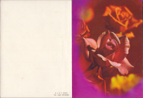 1980 (9)