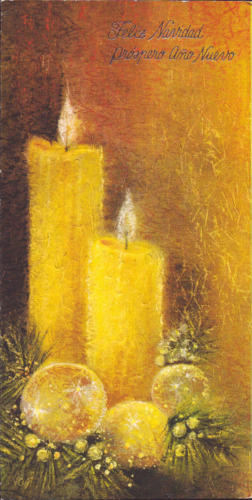 1981 (17)