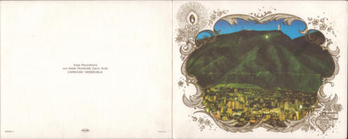 1981 (19)