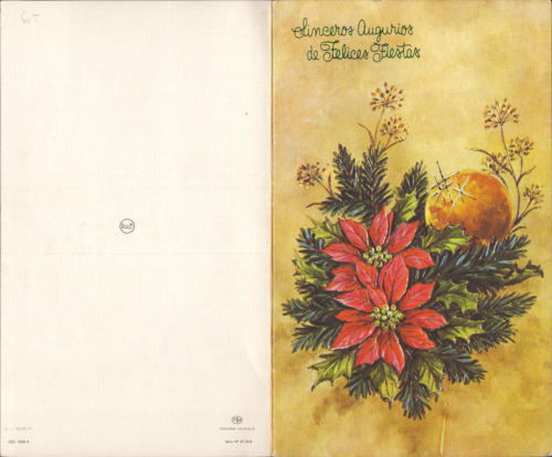 1981 (23)