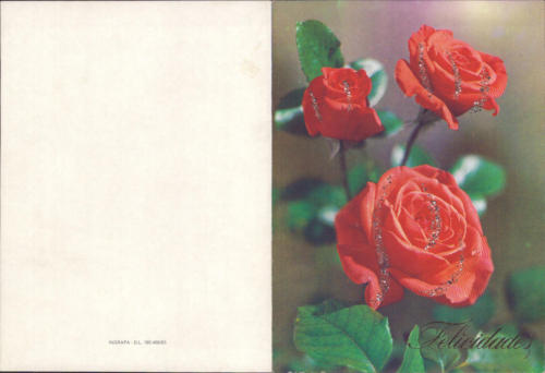 1985 (28)