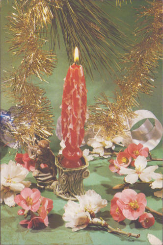 1988 (13)