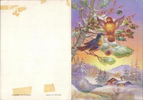 1988 (20)