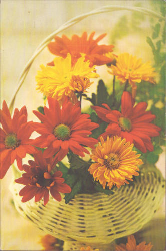 1989 (13)